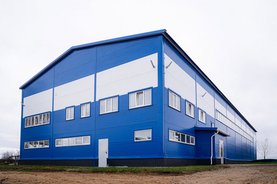 ���� ���